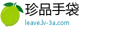 珍品手袋